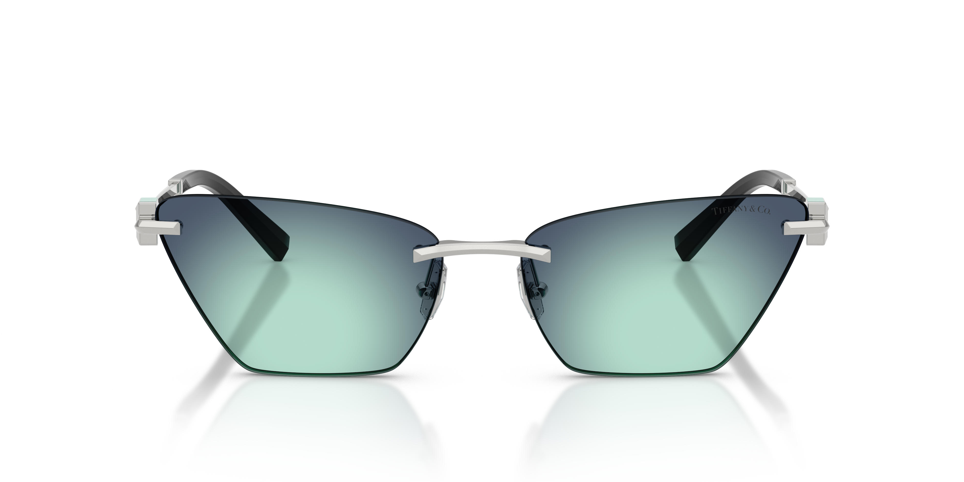 Tiffany TF3120 60019S  